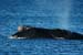 Puerto Madryn (156)