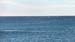 Puerto Madryn (205)