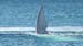 Puerto Madryn (256)