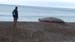 Puerto Madryn (384)