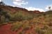 Kings Canyon 008