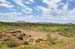 McDonnell Ranges 041