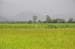 Vers Cairns 022