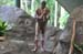 Cairns 010