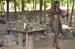 Cairns 023