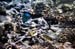 Cairns 074