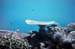 Cairns 075