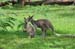 Cairns 180