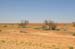 Coober Pedy 010