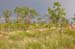 Darwin 036