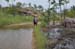 Darwin 038