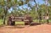 Darwin 190
