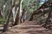 Flinders Ranges 018