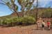 Flinders Ranges 024