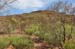 Flinders Ranges 025