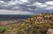 Flinders Ranges 041