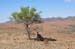 Flinders Ranges 065