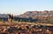 Flinders Ranges 096