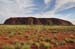 Uluru 022