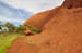Uluru 047
