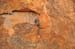 Uluru 048
