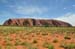 Uluru 067