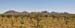 Uluru 073