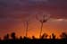 Uluru 104