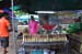 Thailande 221