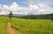 Thaïlande 425