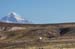 D'Uyuni à Sajama (235)