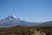 D'Uyuni à Sajama (236)