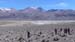 D'Uyuni à Sajama (260)
