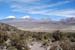 D'Uyuni à Sajama (272)