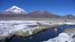 D'Uyuni à Sajama (305)
