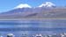 D'Uyuni à Sajama (347)