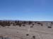 Vers Uyuni (42)